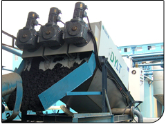 DYLT ����������ˮ��